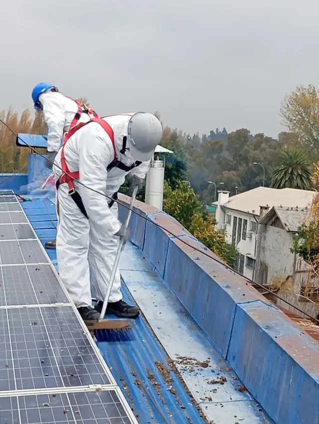 Trabajadores limpiando techumbre azul con arnés de seguridad. Trabajadores limpiando techumbre azul con arnés de seguridad.