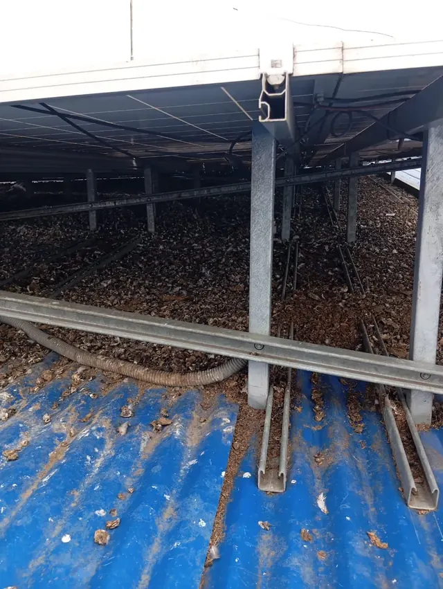 Detalle de residuos acumulados bajo paneles solares previo a las labores de limpieza. Residuos y hojas acumuladas bajo estructura de paneles solares.