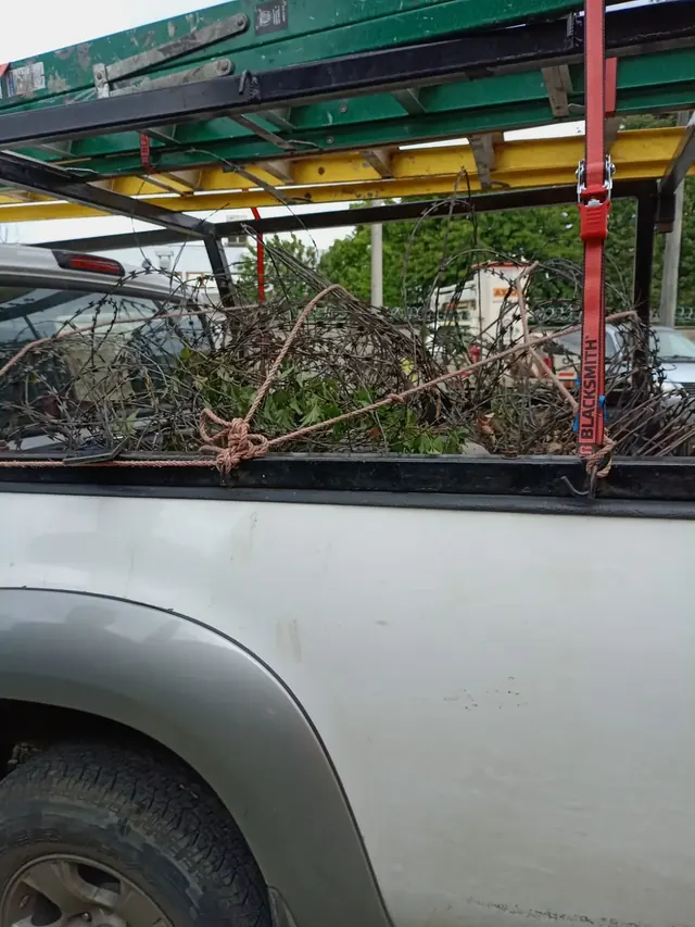 Traslado de materiales y residuos resultantes del mantenimiento del cierre perimetral en Frontel Nueva Imperial. Camioneta transportando concertina retirada y ramas del mantenimiento perimetral.