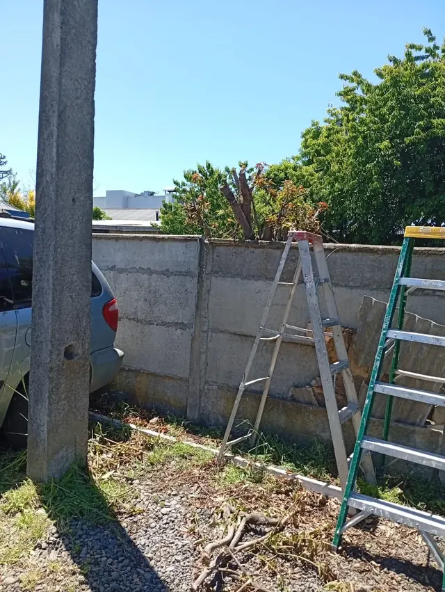 Limpieza de cierre perimetral retirando ramas, hojas y material metálico antiguo. Trabajos de limpieza en muro perimetral con restos de concertina y maleza.