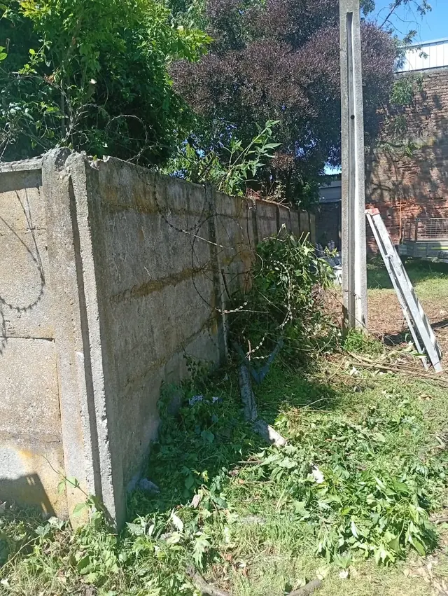 Eliminación de vegetación y preparación del cierre perimetral previo a la instalación de nuevas protecciones. Personal preparando el muro perimetral mediante poda de vegetación y limpieza.