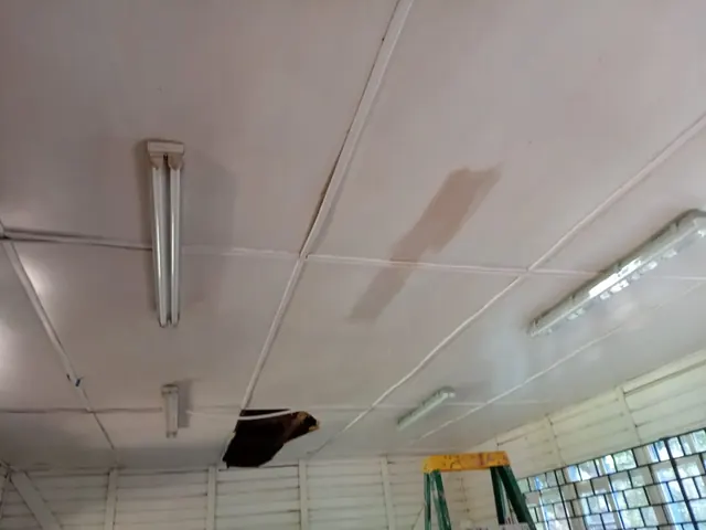 Detalle del cielo del aula con zonas deterioradas y filtraciones antes de la renovación realizada por Altos de Arauco en la Escuela Bellavista. Cielo del aula con filtraciones y deterioro previo a trabajos de reparación.