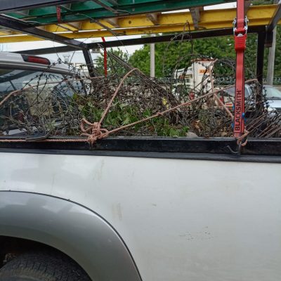 Camioneta transportando concertina retirada y ramas del mantenimiento perimetral.