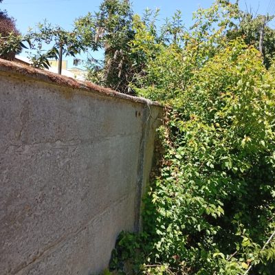 Muro perimetral con vegetación y tramos dañados antes del mantenimiento de seguridad.