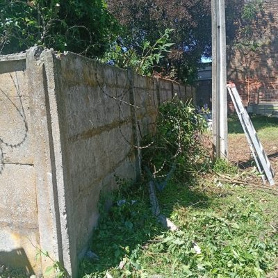 Personal preparando el muro perimetral mediante poda de vegetación y limpieza.