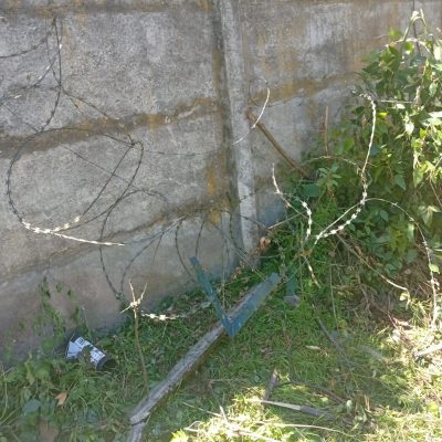 Muro de hormigón cubierto por vegetación densa previo a la limpieza perimetral.