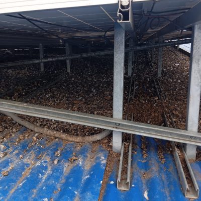 Residuos y hojas acumuladas bajo estructura de paneles solares.